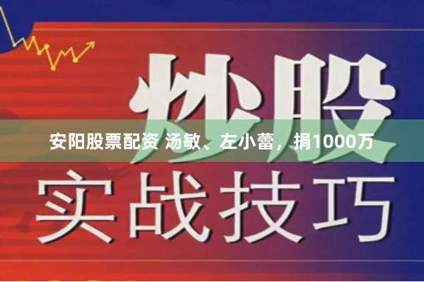 安阳股票配资 汤敏、左小蕾，捐1000万