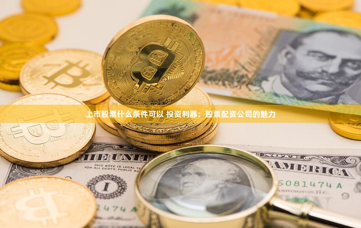 上市股票什么条件可以 投资利器：股票配资公司的魅力