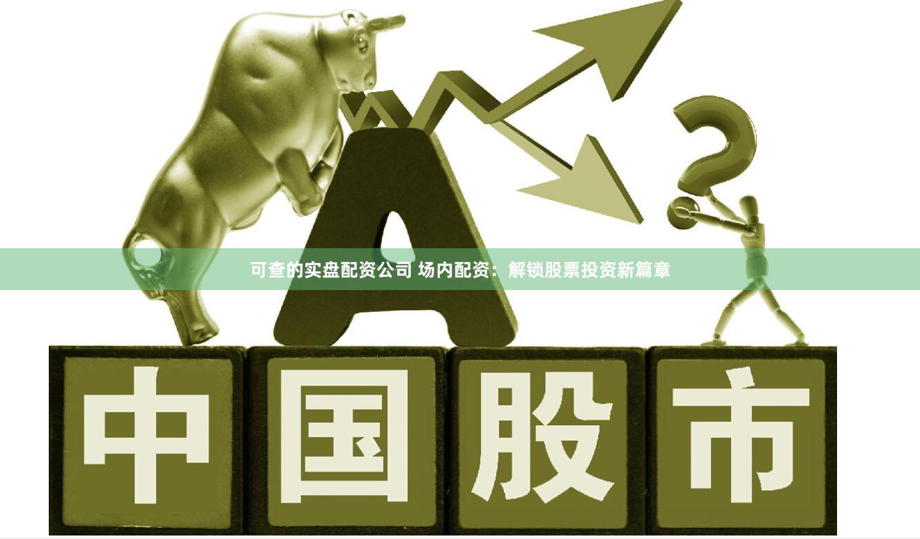可查的实盘配资公司 场内配资：解锁股票投资新篇章